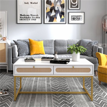 2 Rattan Drawer Coffee Table，Modern Furniture Decor