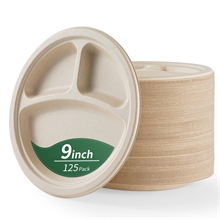 3 Compartment Paper Plates, 9 Inch 125-Pack Heavy Duty Disposable Plates
