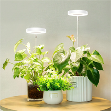 GPED Plant Grow Light, LED Growing Light for Indoor Plants