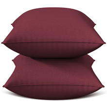 Throw Pillow Inserts Set of 2, Indoor Decorative 18x18 inches Square Pillows for Couch, Sofa, Bed