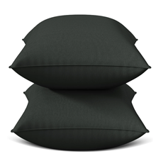 Throw Pillow Inserts Set of 2, Indoor Decorative 18x18 inches Square Pillows for Couch, Sofa, Bed