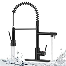 GPED Kitchen Faucet with 2 Function Sprayer, Kitchen Sink Faucet with Pull Down Sprayer