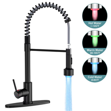 GPED Kitchen Faucet with Pull Down Sprayer